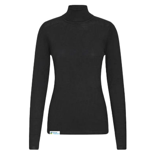 Image de Chandail manche longue col roulé femme - 103646